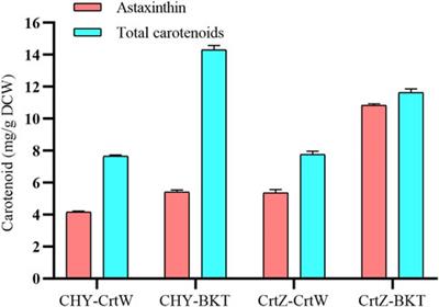 Engineering Sphingobium sp. to Accumulate Various Carotenoids Using Agro-Industrial Byproducts